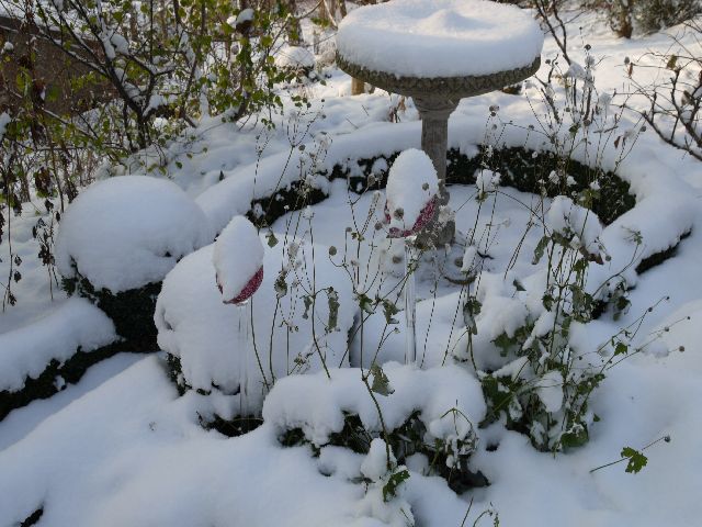 Garten Wst Frickenhausen