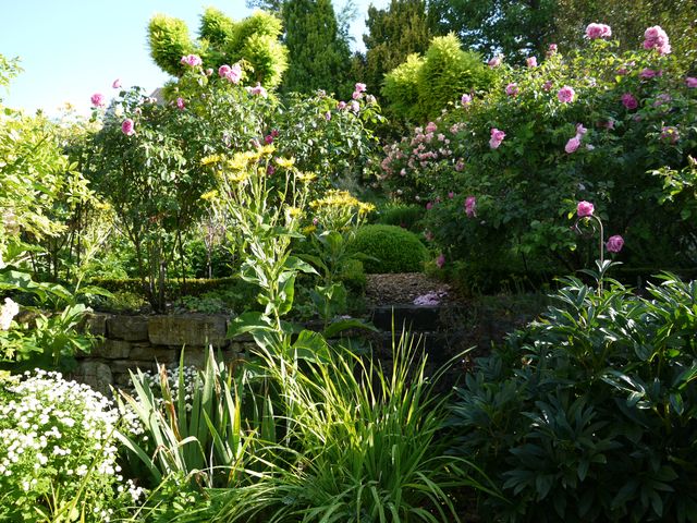Garten Wst Frickenhausen