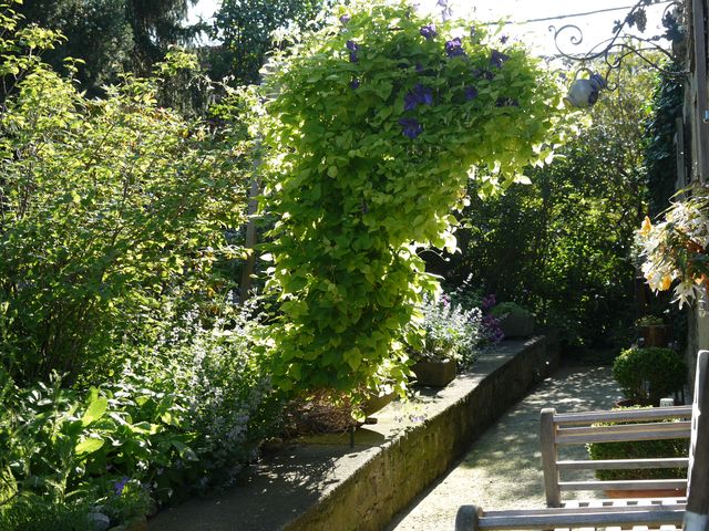 Garten Wst Frickenhausen