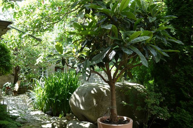 Garten Wst Frickenhausen