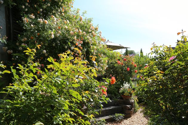 Garten Wst Frickenhausen