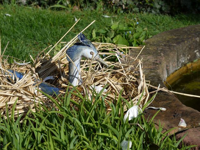 Garten Wst Frickenhausen