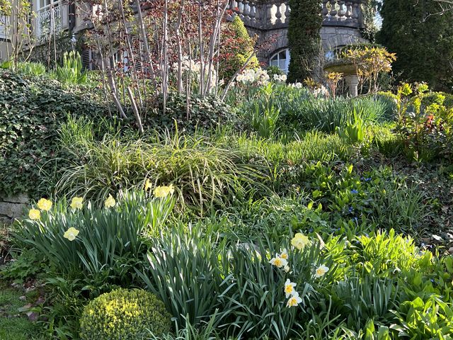 Garten W�st Frickenhausen