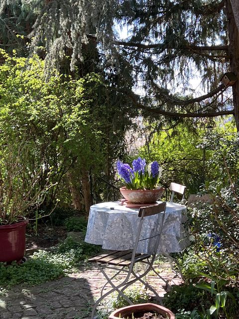 Garten W�st Frickenhausen