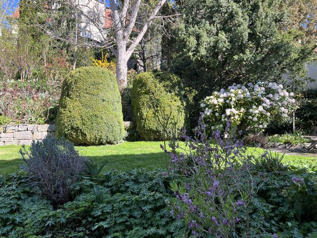 Garten W�st Frickenhausen