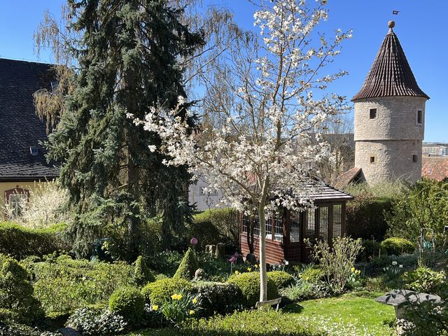 Garten W�st Frickenhausen