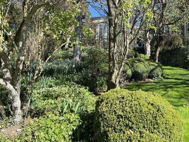 Garten W�st Frickenhausen