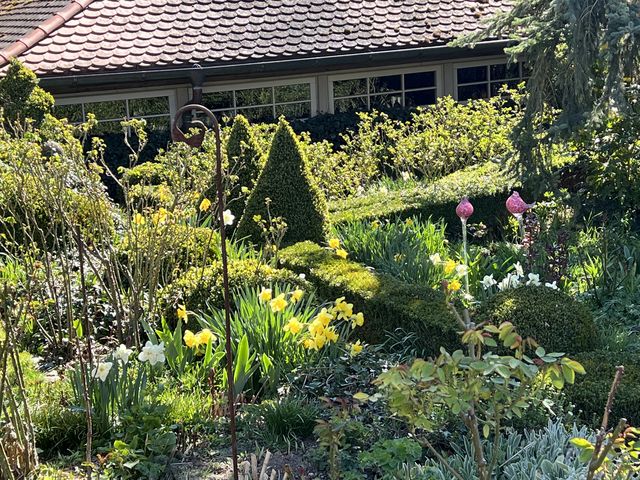 Garten W�st Frickenhausen