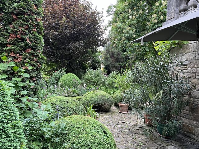Garten W�st Frickenhausen