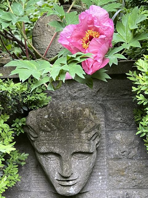 Garten W�st Frickenhausen