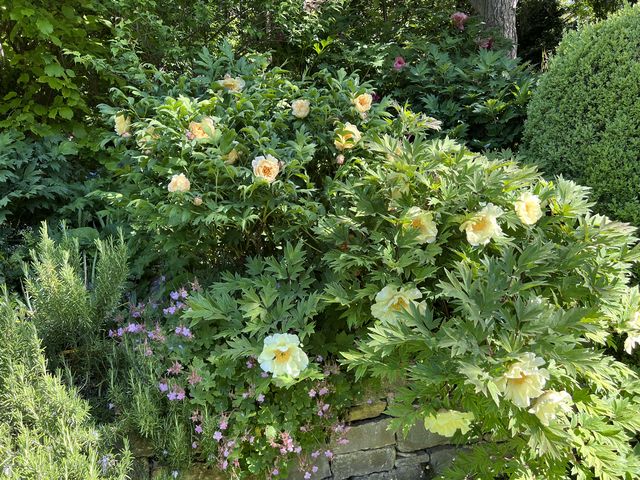 Garten Wst Frickenhausen